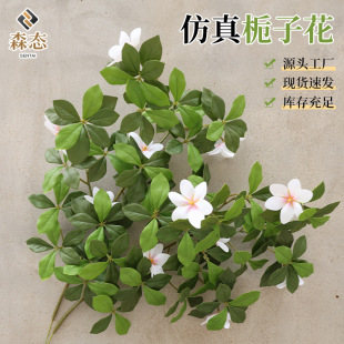 �d�ӻ�����Gֲ�d���~��֦�Ҿ��bپGֲ��ɭϵ����ܛ�bֲ�ﻨ��