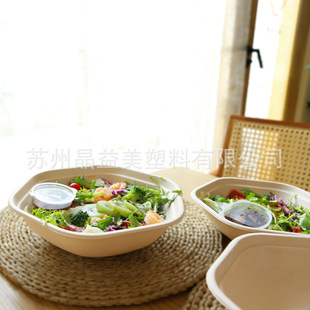 Disposable Lunch Box, Light Food Takeout Box, Fat-Reduced Meal Box, Biodegradable Pulp Box, Vegetable Salad
