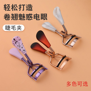 �S�����l���N��ë�A͸����Ƭ�W���ֱ������y����õ����ë�A��