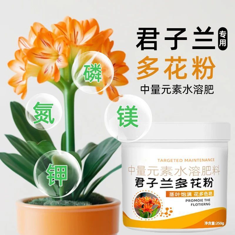 君子兰多花粉专用肥开花粉爆花粉中量元素水溶肥促花生根养花肥料|undefined