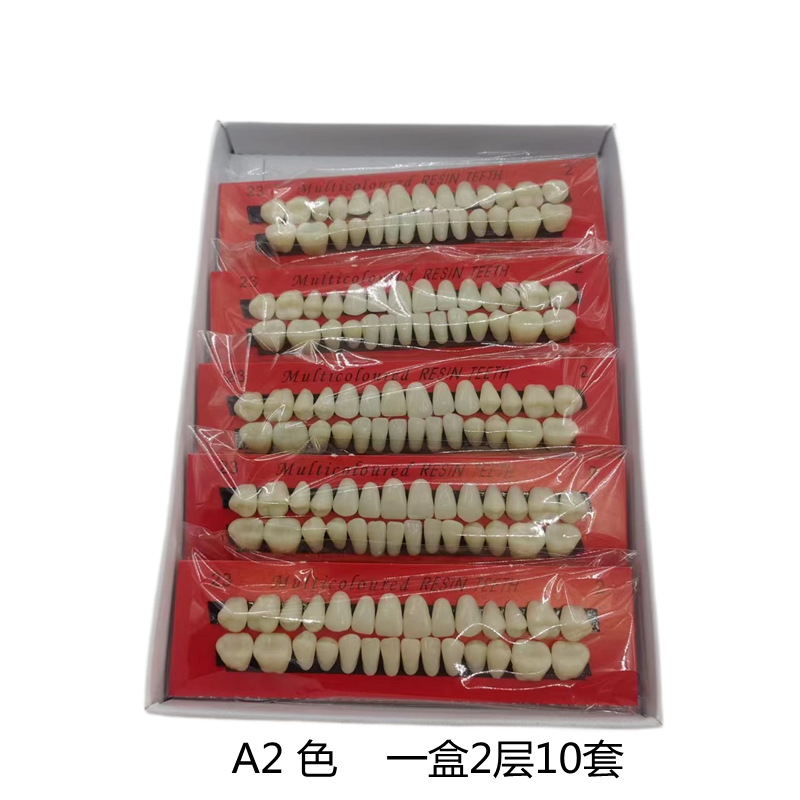 28 estudiantes dientes plásticos dentales materiales orales de enseñanza de dientes dentados image 3