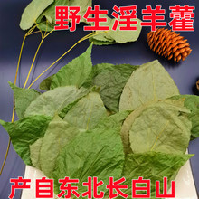 野生淫羊藿东北长白山三支九叶草洋合叶洋藿叶小叶仙灵脾泡酒真货