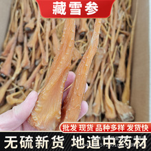 大货供应藏雪参 玉人参 雪人参藏血参 西藏雪参 一件代发