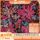 Factory direct sequin embroidery embroidery fabric round beads sequin embroidery evening ceremony performance clothing flash beads color
