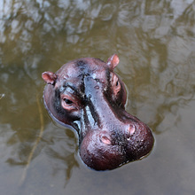 羳⻨@ͥԺ~b쾰R^Ư֬ˇƷ