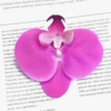 Big, 3D, 11.5cm