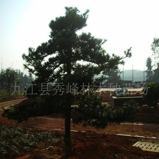 ���lС�~�_�h�� ���~�_�h�� ̨���_�h�� �����_�h�� ���~�_�h����