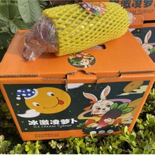 新鲜现挖紫皮萝卜脆甜生吃冰激凌水果萝卜冰糖心甜脆冰淇淋萝卜