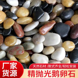 厂家批发彩色鹅卵石 园林造景铺路五彩抛光雨花石头 水池垫底石子