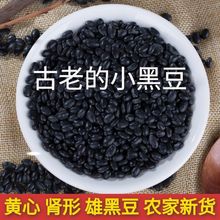 黑豆批发农家自种5斤肾形老品种黄芯黑醋泡煮粥打豆浆发豆芽半斤