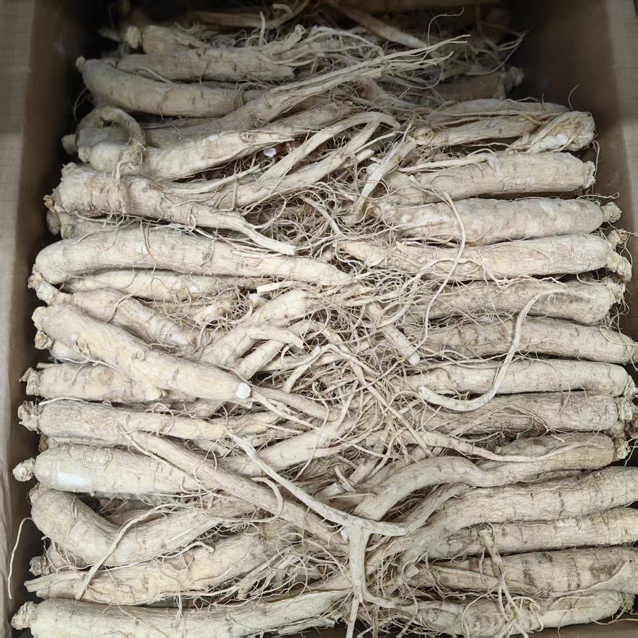 American Ginseng Slices Ren Shen 西洋参 Dried Root Slices for Tea and Decoction 50g quality and texture