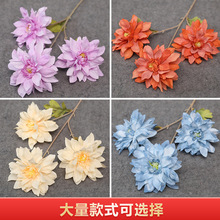 �S��ֱ�N���滨�ջ����^����ջ��^��c�b���������û�������