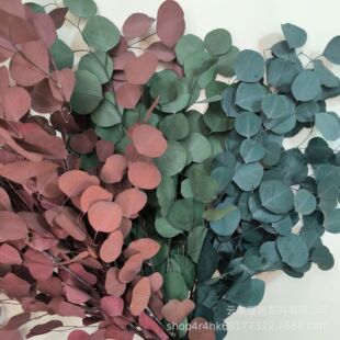 �羳�ȼ�����ɫ�O���~����~�����������廨��cܛ�b�ɻ�diy���