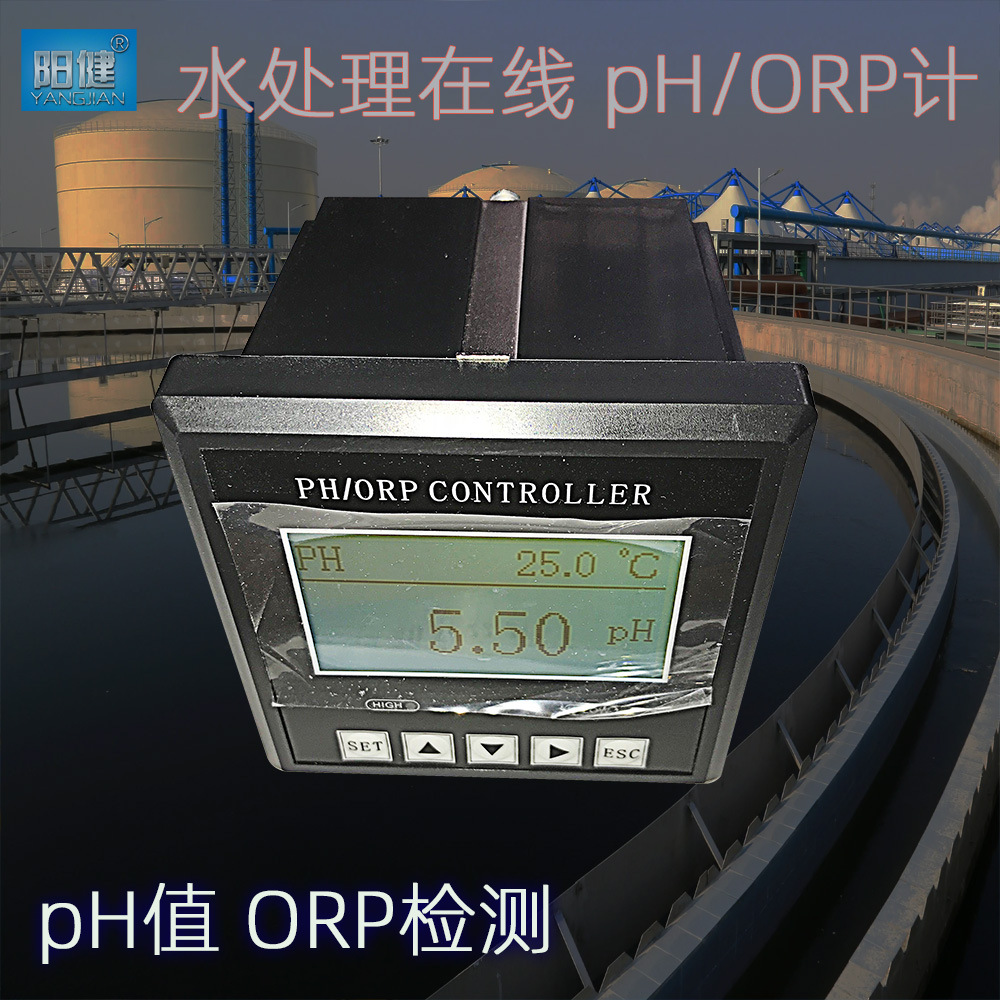 在线pH/ORP计 01.jpg