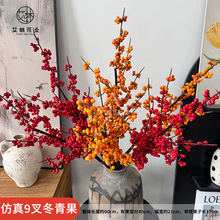 ����9�涬����t�����l�S���r��֦�F���F�l����������ϲ�c�[��