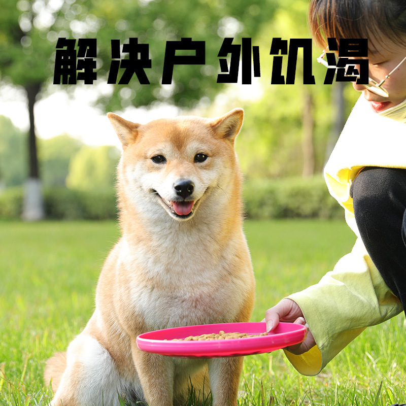 Frisbee para perros, entrenamiento de perros, EVA transfronterizo especial, juguetes interactivos para mascotas flotantes al aire libre, platillos voladores suaves y fáciles de lanzar al por mayor