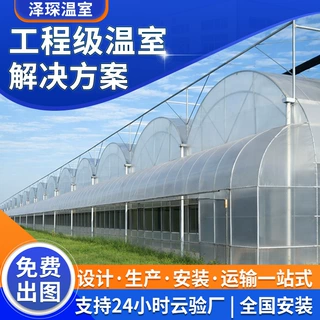连栋薄膜温室大棚厂家纹络式智能玻璃温室一站式工程农业温室大棚