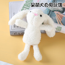 �羳���ȴ������ż�����ͨС�ù��В����耳׿�ë�q�������