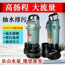�ߓP����ˮ�ü��Ý�ˮ��220v�������r�ù�ȳ�S�и�߉�ˮ��