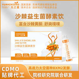定制沙棘益生菌酵素饮OEM代工沙棘综合果蔬酵素液非原浆元之道厂