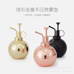 卸売ステンレス製スプレーボトル ミニスプレーボトル 水やりボトル 花の水やり用スプレーボトル 園芸用品 越境で人気販売中