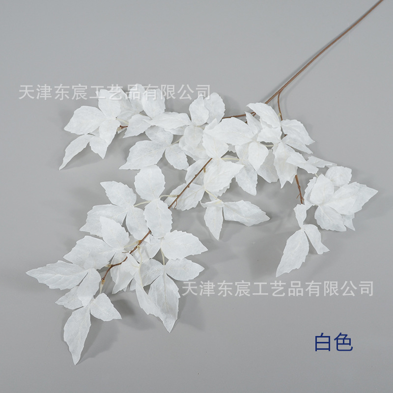화이트