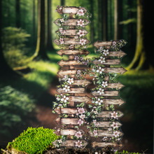 �����u��Ůľ�����쾰�z��Ų����ɭ��֮���gָ��ϵ���֎��ز��b�