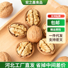 新疆纸皮核桃原色新核桃批发 袋装手捏即开阿克苏185薄皮生核桃