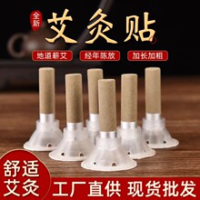 南阳艾草:中医宝库中的绿色宝藏