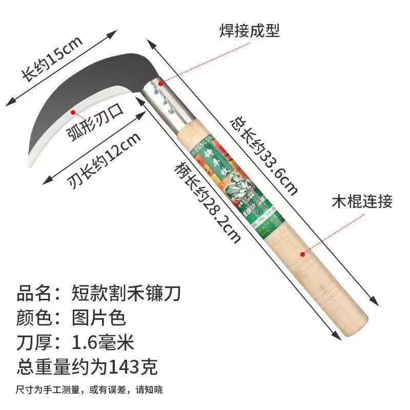 微信图片_20260619110426_59_4.jpg
