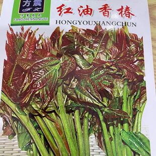 �t���㴻�N�������㴻�N���ļ��t�㴻��N�Ӽt�~�㴻ѿ��˷N����