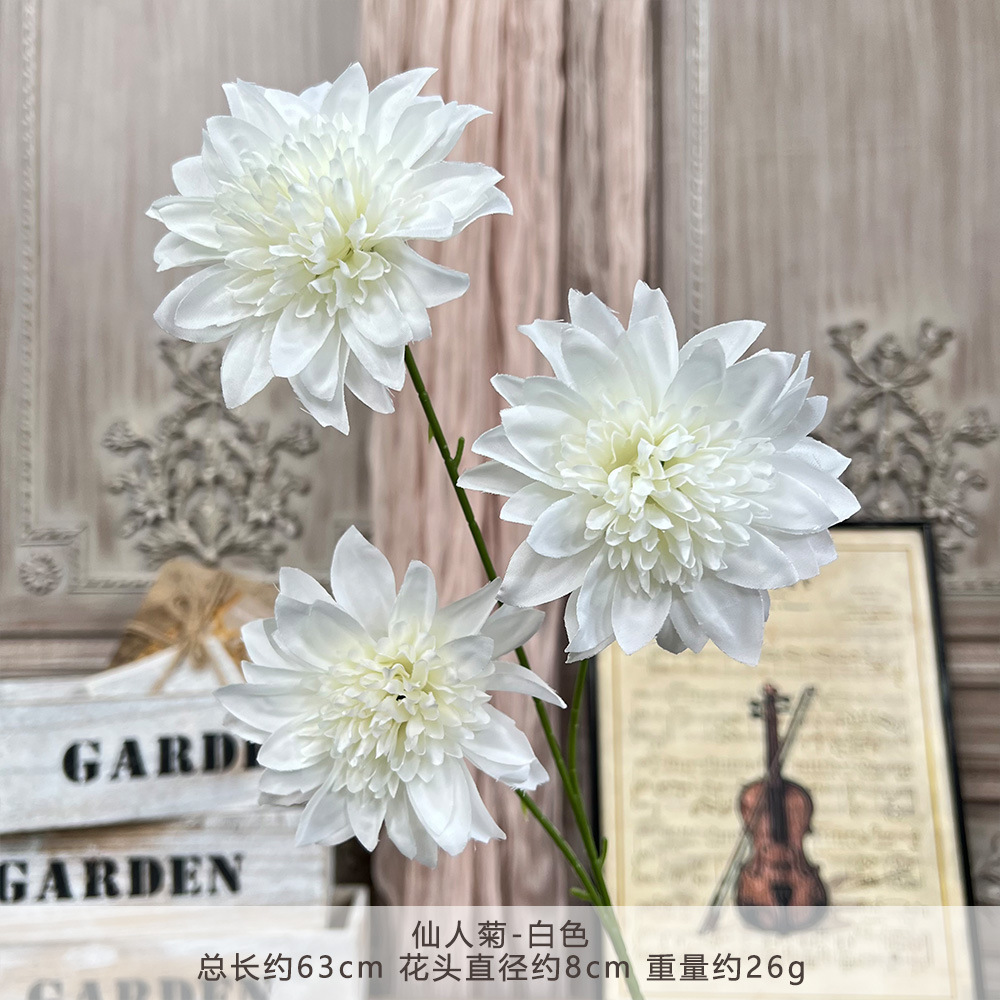 GZH-อมตะ-ขาว