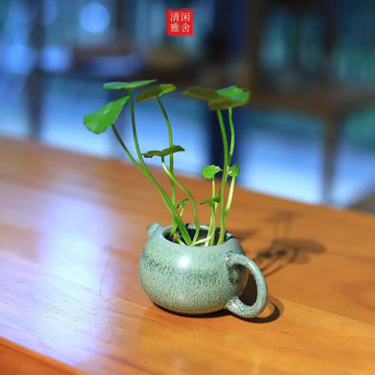 微信图片_20240526161806