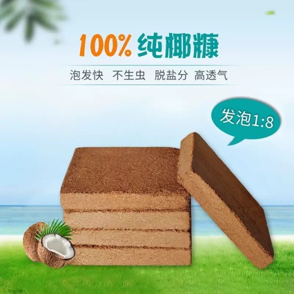 进口正方形低盐宠物椰砖高泡发椰糠饼育苗土育苗块