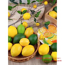 �ߙ���ģ�ͼ�ˮ���������S������̵����b���ĭˮ���߲��������