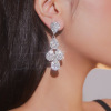 Universal earrings, suitable for import, European style, diamond encrusted