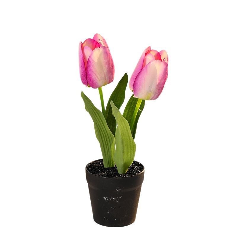 Bonsai de tulipán de serigrafía de dos extremos, flores creativas de simulación, decoración de estudio fotográfico para el hogar, plantas verdes artificiales, plantas en macetas de simulación image 6