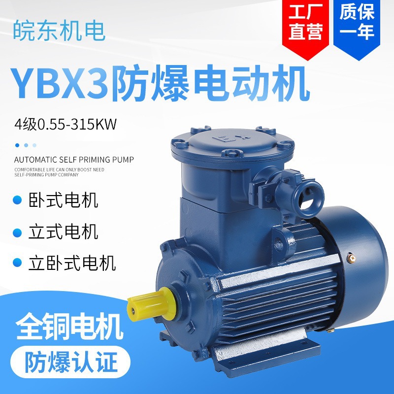 厂家直供防爆电机 YBX3 YBX4 YBBP 防爆电机