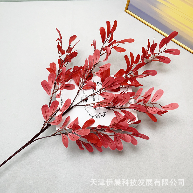 갈래 땅콩 잎 5개 - 빨간색