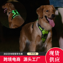 亚马逊跨境电商宠物发光用品type-c充电发光胸背带LED警示狗背心