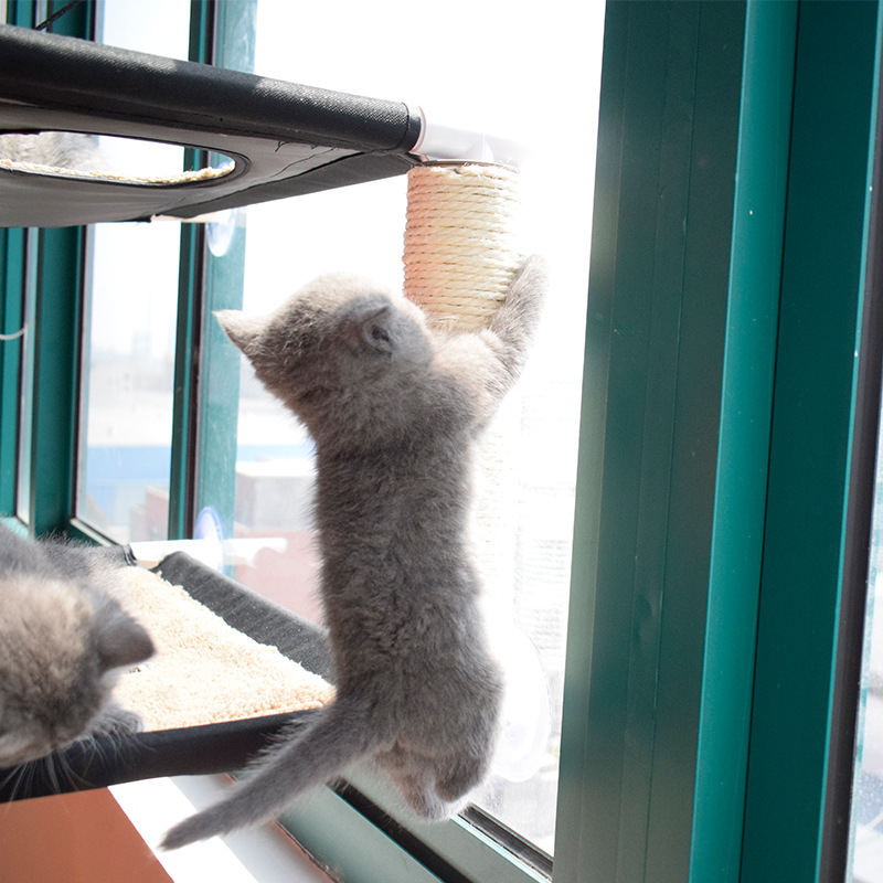 Leyoupai directo de fábrica nido de mascotas nido colgante lechón alféizar de la ventana gato nido extraíble y lavable de doble capa gato hamaca