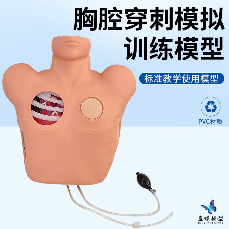 ��ǻ��ʽ����ģ�� ��ǻ����ѵ��ģ�� ��ǻ���˺�������������ģ��