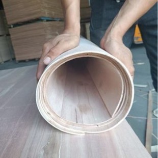 ������ܛ����ľ��A�����Ͱ����ӻ��Θ����D�ǰ叝����ľ�|