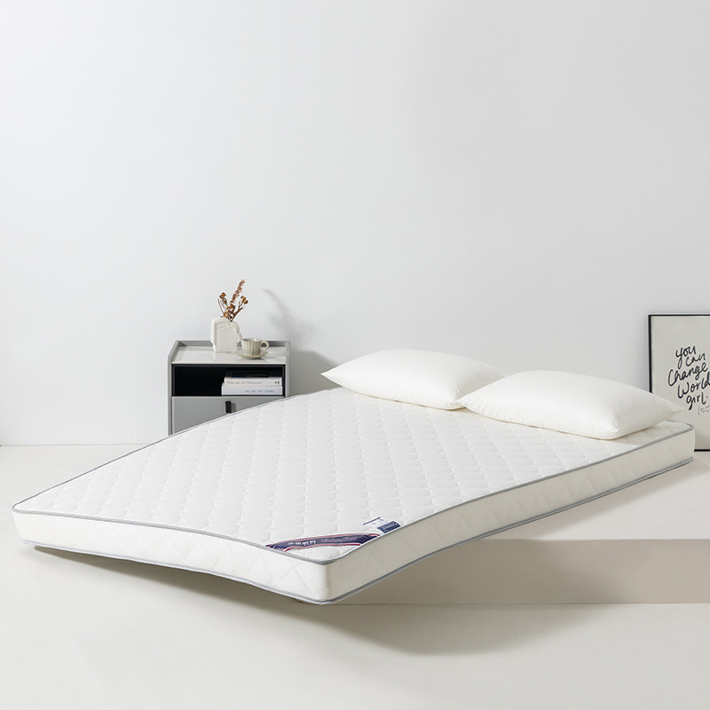 Sponge Latex Mattress Cushion Student Dormitory Home Tatami Latex Mat Foldable Memory Foam Mattress Wholesale