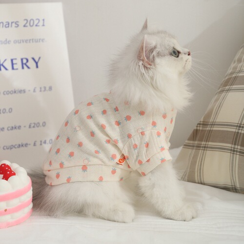Cat clothes anti-hair shedding plush British short pet summer blue cat kitten air conditioning vest cat thin summer