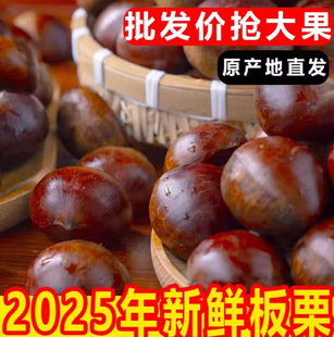 2025���r���|����5���r�������۴�����ڰ���Ұ���w���������F��