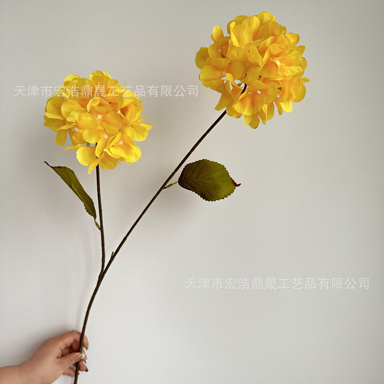 微信图片_202303211636148_副本