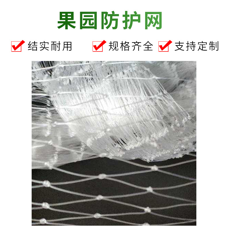果园防护网尼龙网果园果园防护网鱼塘青蛙泥鳅果园防护网厂家直销