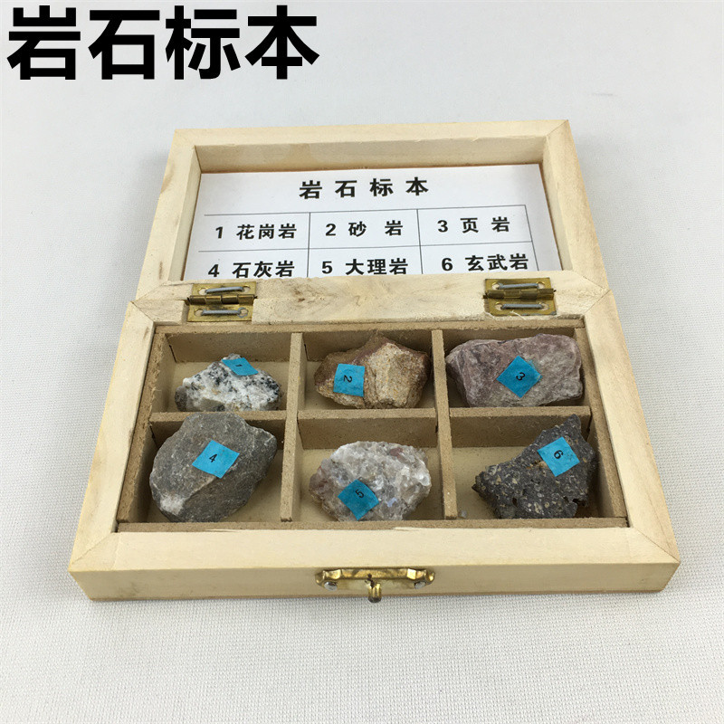 岩石标本J49006岩石矿物标本生物教学仪器教学用品地理演示学习