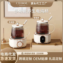 总裁小姐 电炖杯家用养生壶多功能办公室电热水壶小型烧水杯